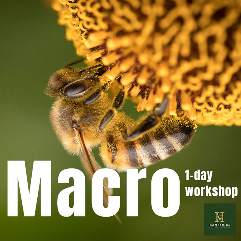 Macro 1 day workshop